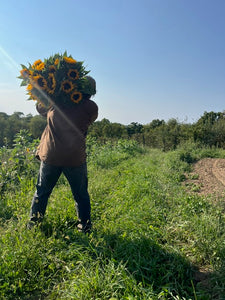 WELCOME TO THE TINY SEED FARM BLOG!!