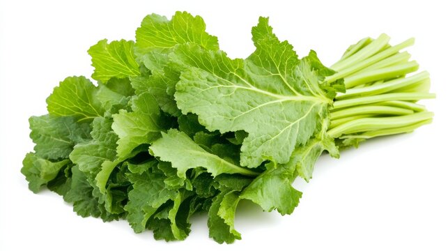 Bunched Greens-Mustard Greens