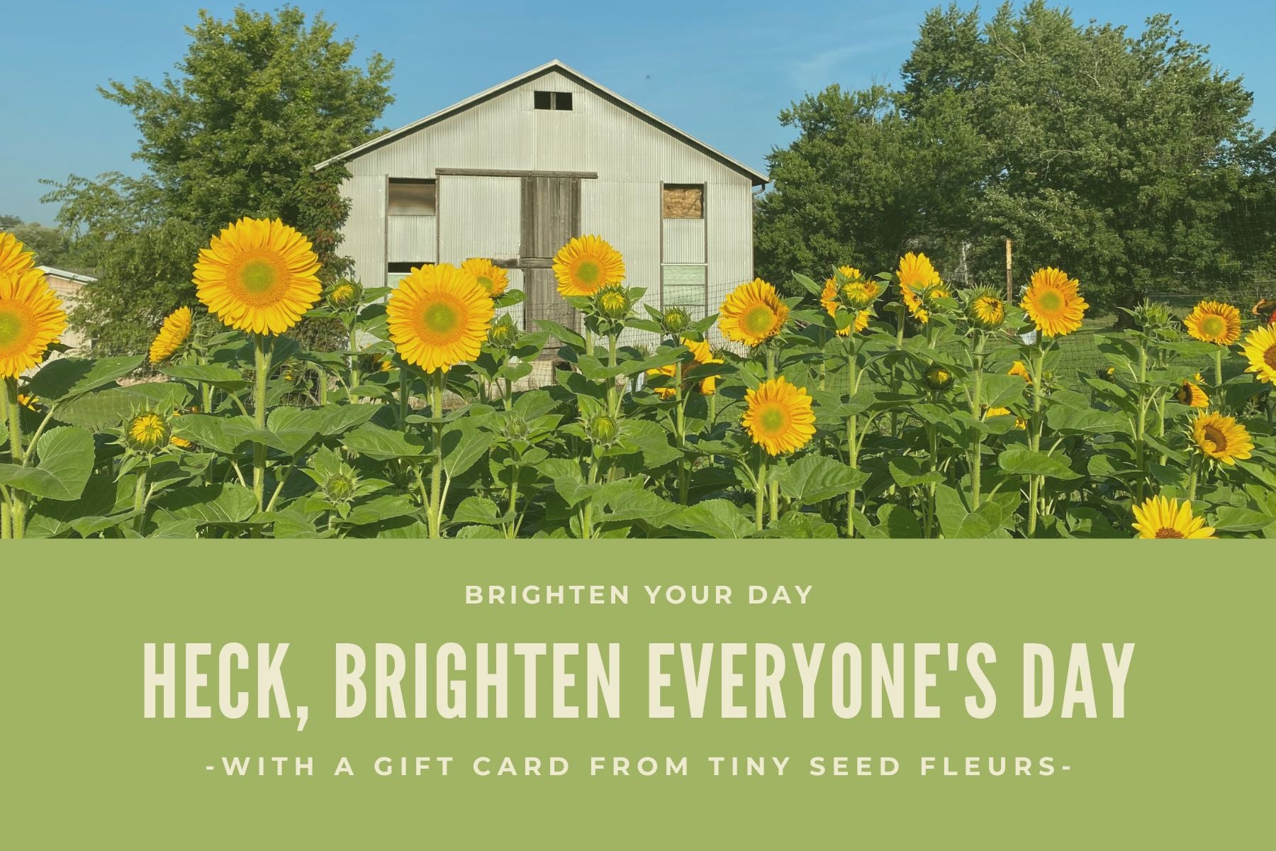 Tiny Seed Farm and Fleurs Gift Card