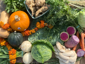 Thanksgiving CSA