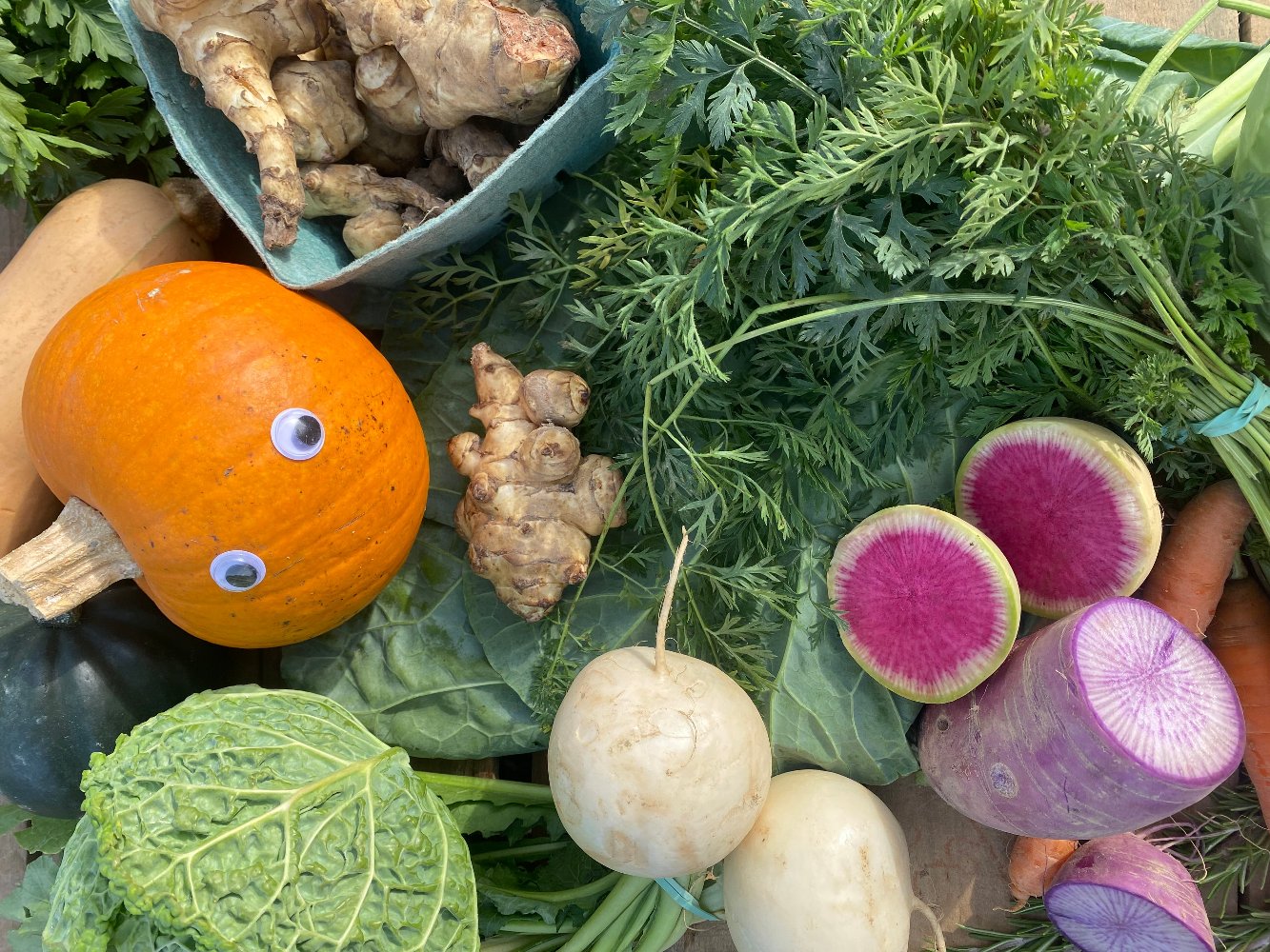 Thanksgiving CSA