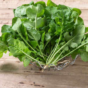 Salad Greens-Arugula