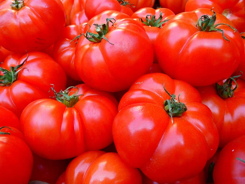 Tomatoes--Classic Slicing