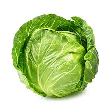 Cabbage-Classic Green