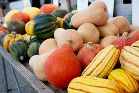 2025 Fall CSA