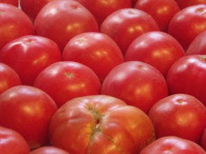 Tomatoes--10 Pound Bulk Discount