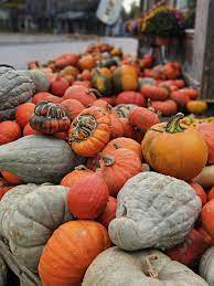 2025 Fall CSA